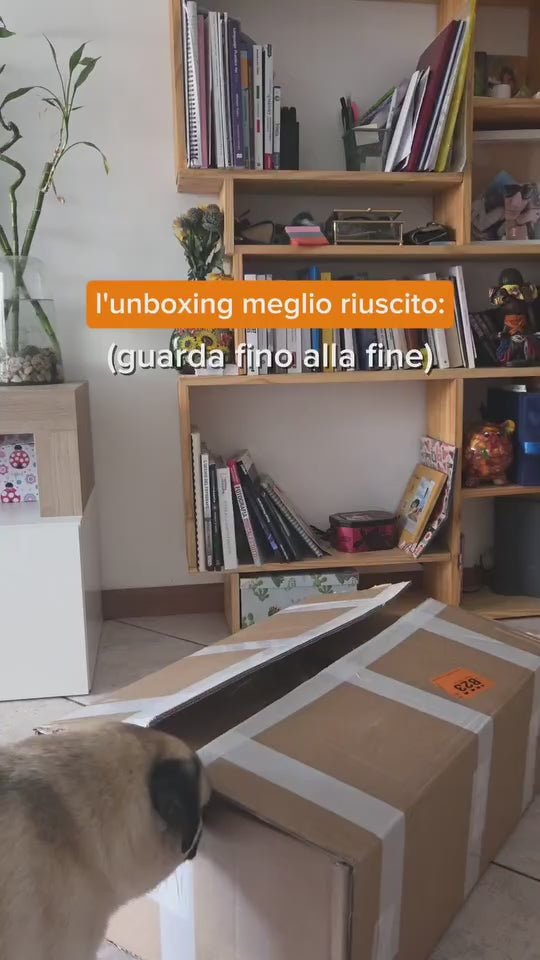 Carica il video: 